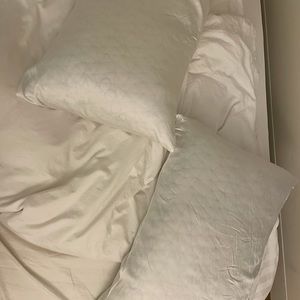 Two king sized pillows - coop brand